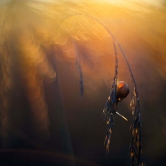 DSC1901-KOLOR.jpg-nggid0226-ngg0dyn-1450x968-00f0w010c010r110f110r010t010