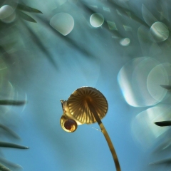 DSC_0575-kolor.jpg-nggid012-ngg0dyn-1450x967-00f0w010c010r110f110r010t010