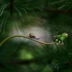 FOREST-NOOK-l.jpg-nggid0213-ngg0dyn-1450x1018-00f0w010c010r110f110r010t010